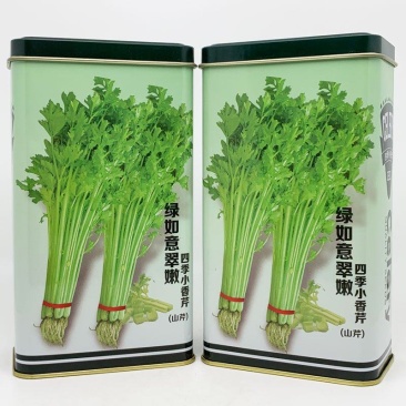 绿如意翠嫩四季小香芹种子黄嫩实心小香芹籽200克原装发货