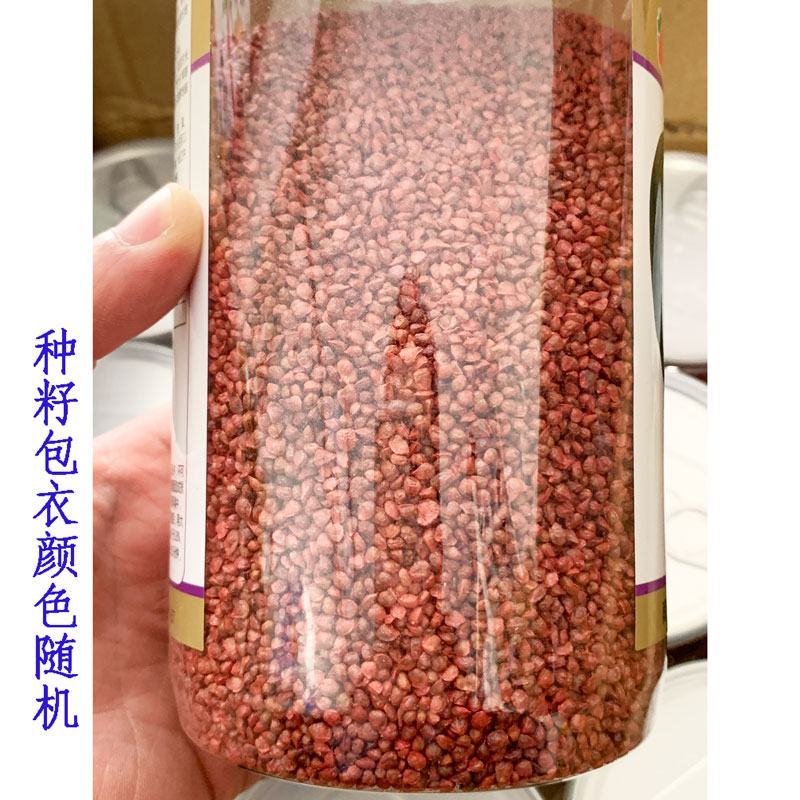 墨绿1806菠菜种子耐寒半圆叶黑绿直立红根菠菜籽600克