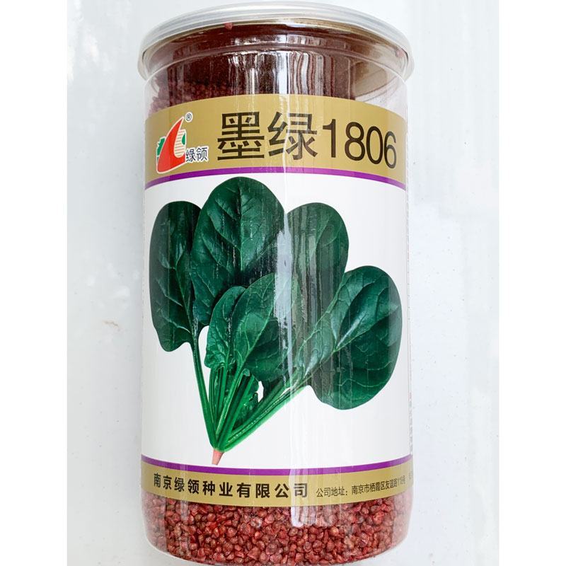墨绿1806菠菜种子耐寒半圆叶黑绿直立红根菠菜籽600克