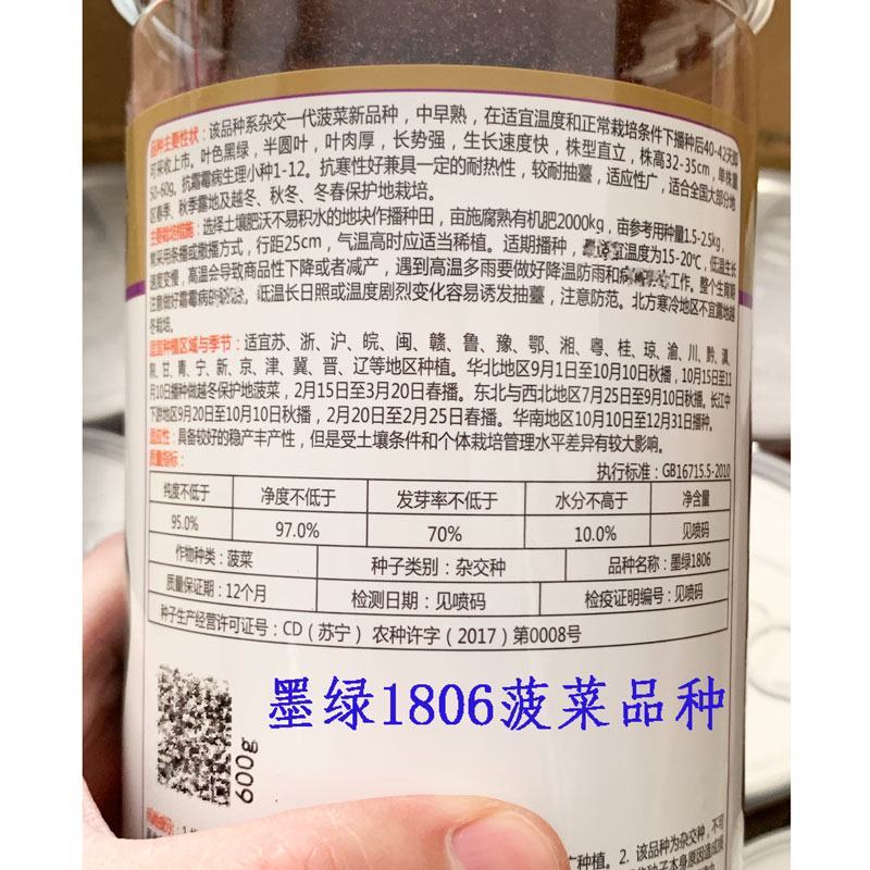 墨绿1806菠菜种子耐寒半圆叶黑绿直立红根菠菜籽600克