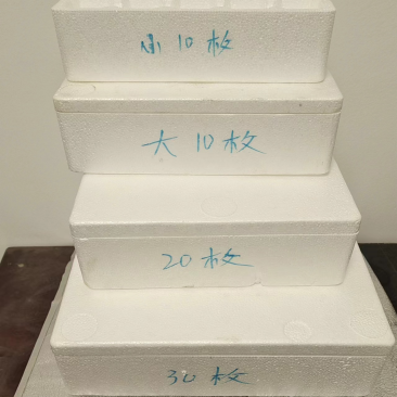泡沫蛋托
