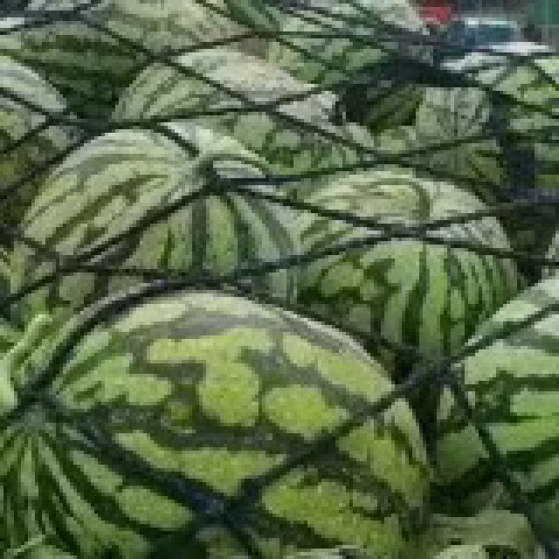 精品美都西瓜，产地一手现货，保质保量支持电商商超市场批发