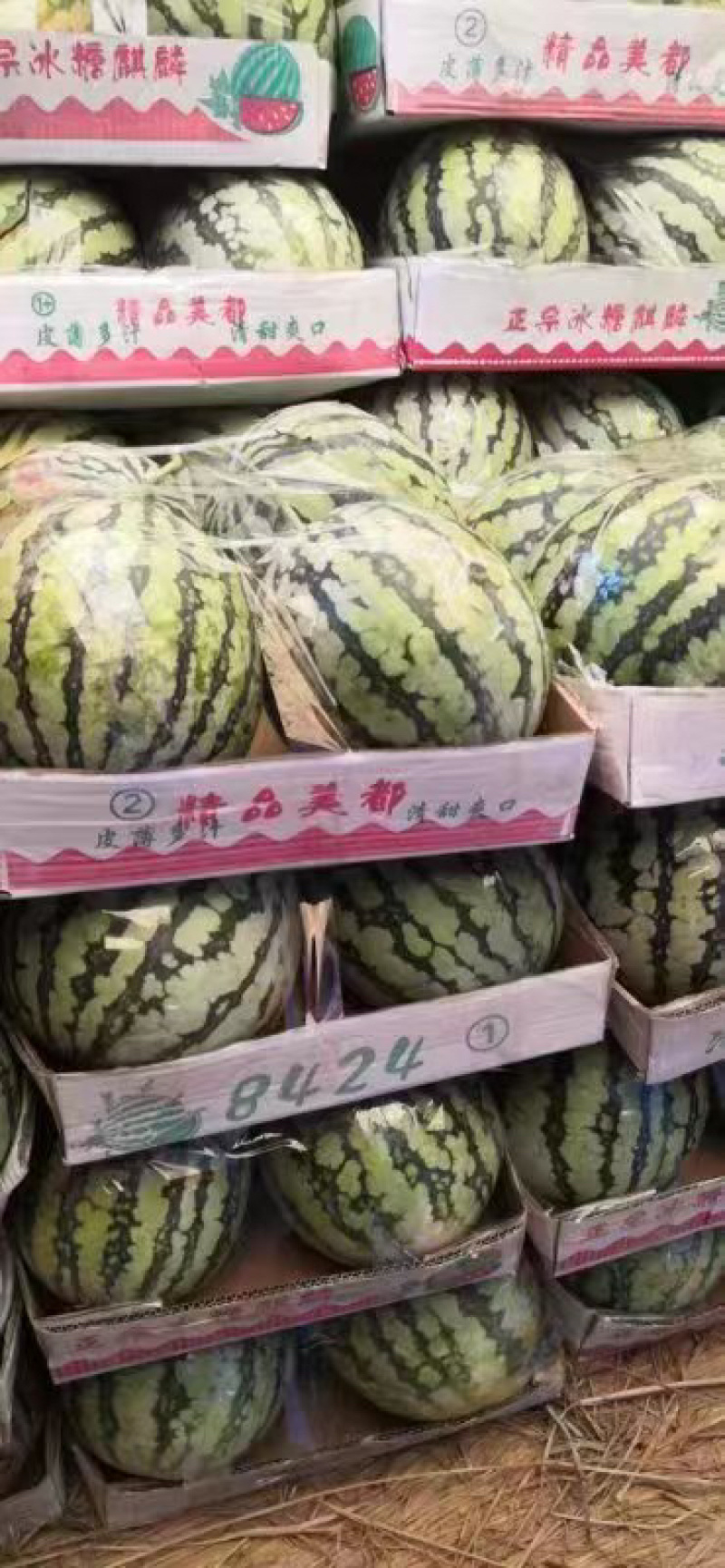 精品美都西瓜，产地一手现货，保质保量支持电商商超市场批发