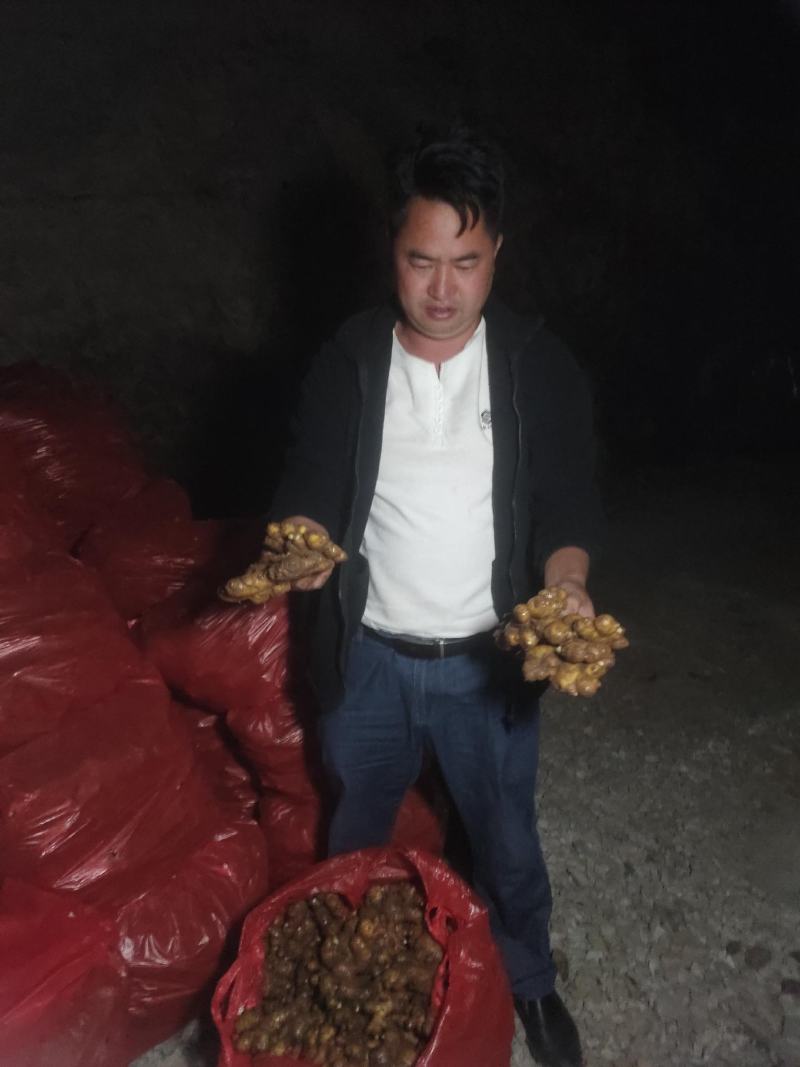 贵州小黄姜