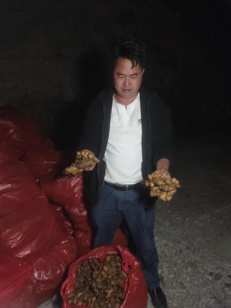 贵州小黄姜