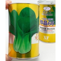 珍品66青梗菜青菜种子耐热耐湿上海青种100克原装发货