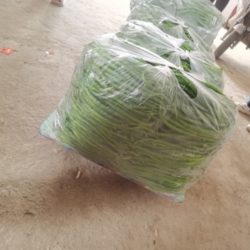 线椒美滋美味，更香更辣更美味（精品线椒大量上市）