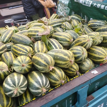 博洋九，九一，大量上市
