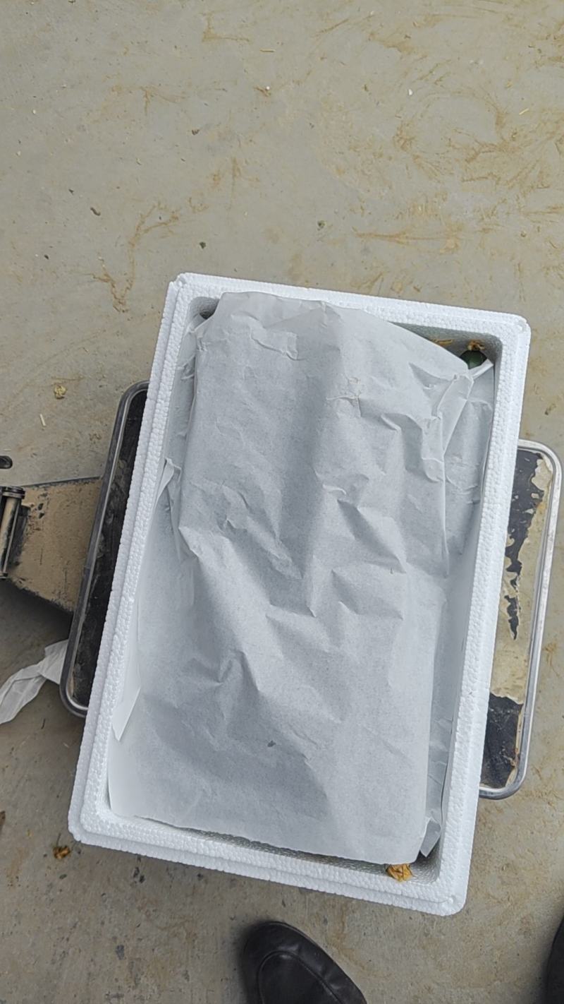 河南小黄瓜小黄瓜电商小包装市场货各种包装规格都有