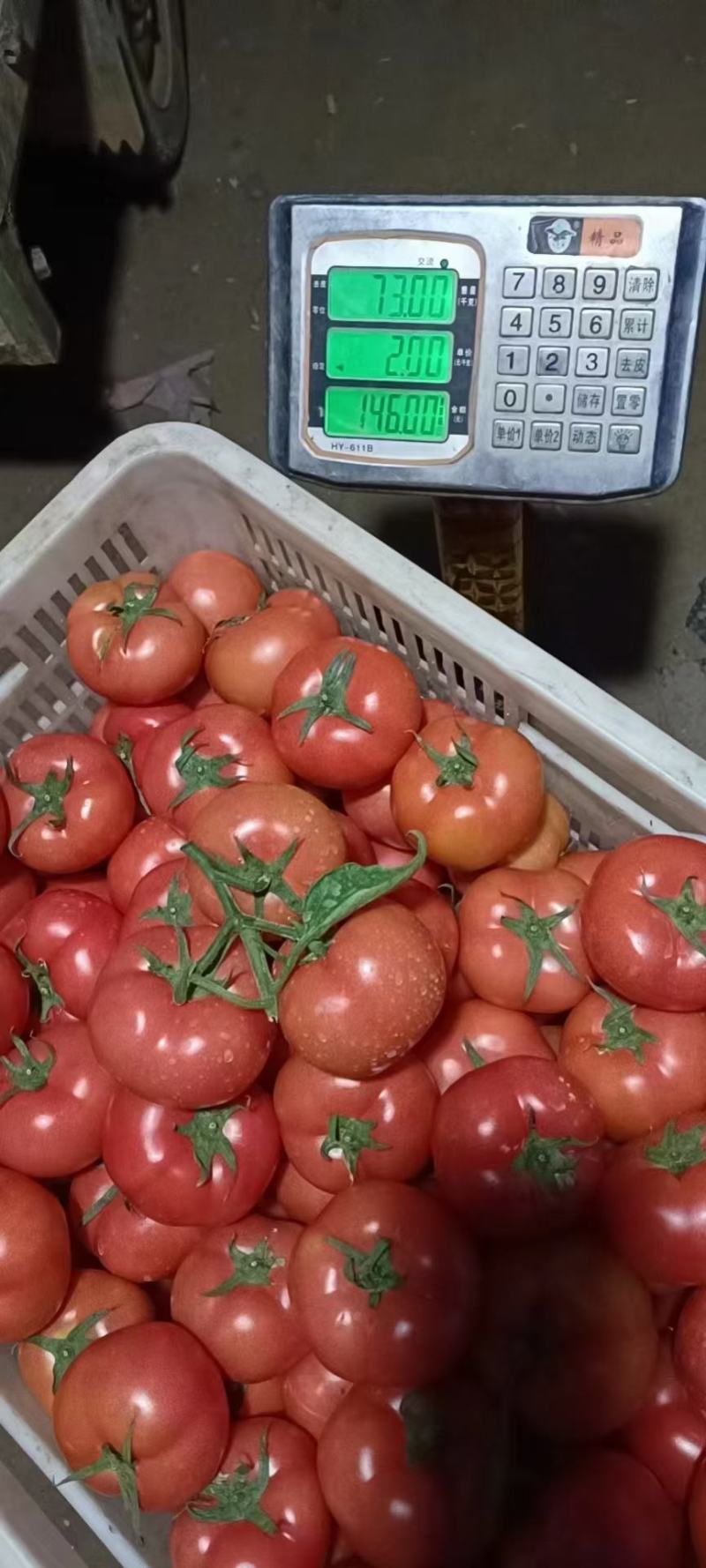 上海青油菜产地直供代发全国对接食品厂商超批发市场