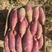 纯沙地西瓜红蜜薯，可供应全国档位，商超，品质保证，欢迎
