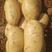 精品土豆:v7丽薯6号希森6号沃土5号实验1号雪川红