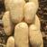 精品土豆:v7希森6号沃土5号实验1号雪川红荷兰十五