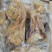 去骨牛蹄全熟去骨带筋牛蹄，真空包装一件50斤摆摊赶集