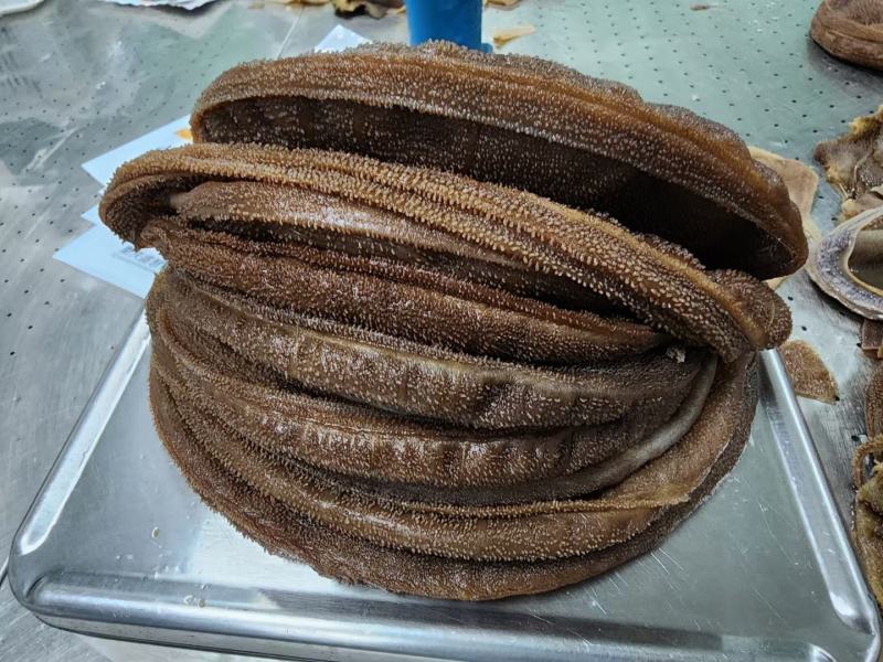 毛肚大叶片