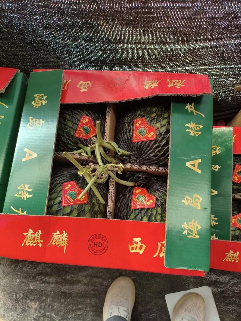 西瓜麒麟无籽美都一手货源直接对接市场超市电商