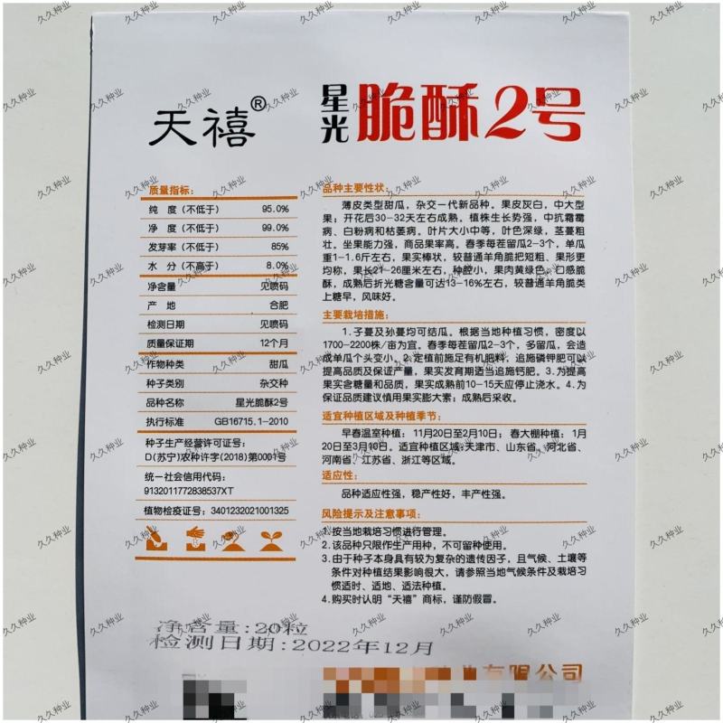 博洋系列脆酥2号甜瓜种子薄皮甜瓜座果强大羊角蜜脆甜瓜