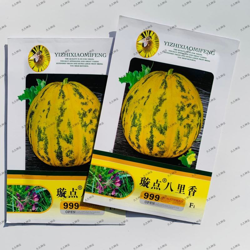 璇点八里香甜瓜种子丰产抗病高品质蔬菜种耐运输花皮香甜瓜种