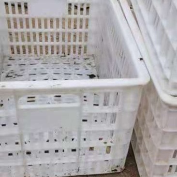 大量出售二手框子