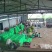 鲜花丝瓜
