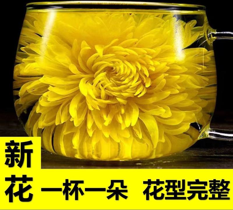 头茬新花产地直销清热解暑批发零售一件代发各种规格可选