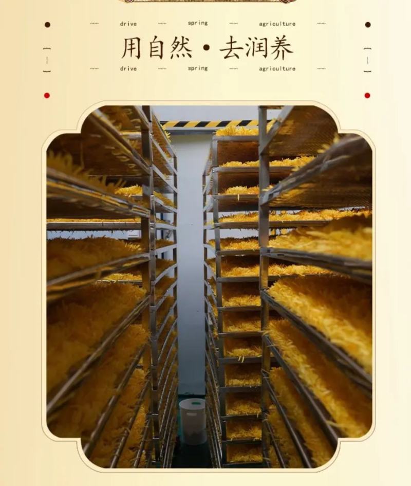 头茬新花产地直销清热解暑批发零售一件代发各种规格可选