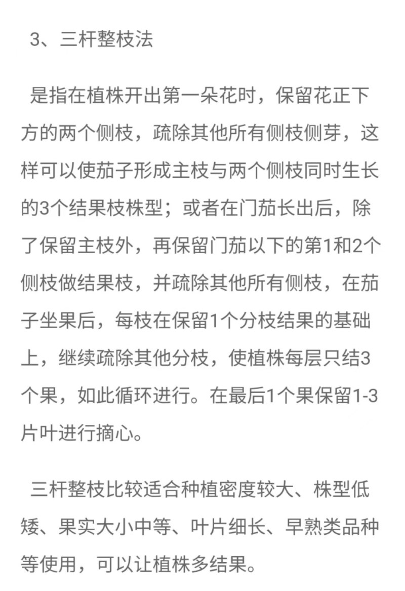 长胜十号线茄嫁接苗紫红色圆头早熟耐热果型细长且直抗青枯