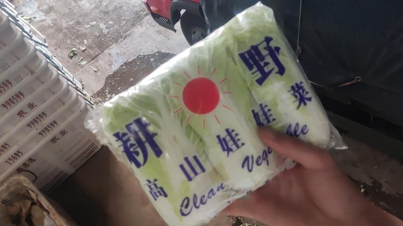 云南精品黄娃绿娃大娃产地一手货源品质保证