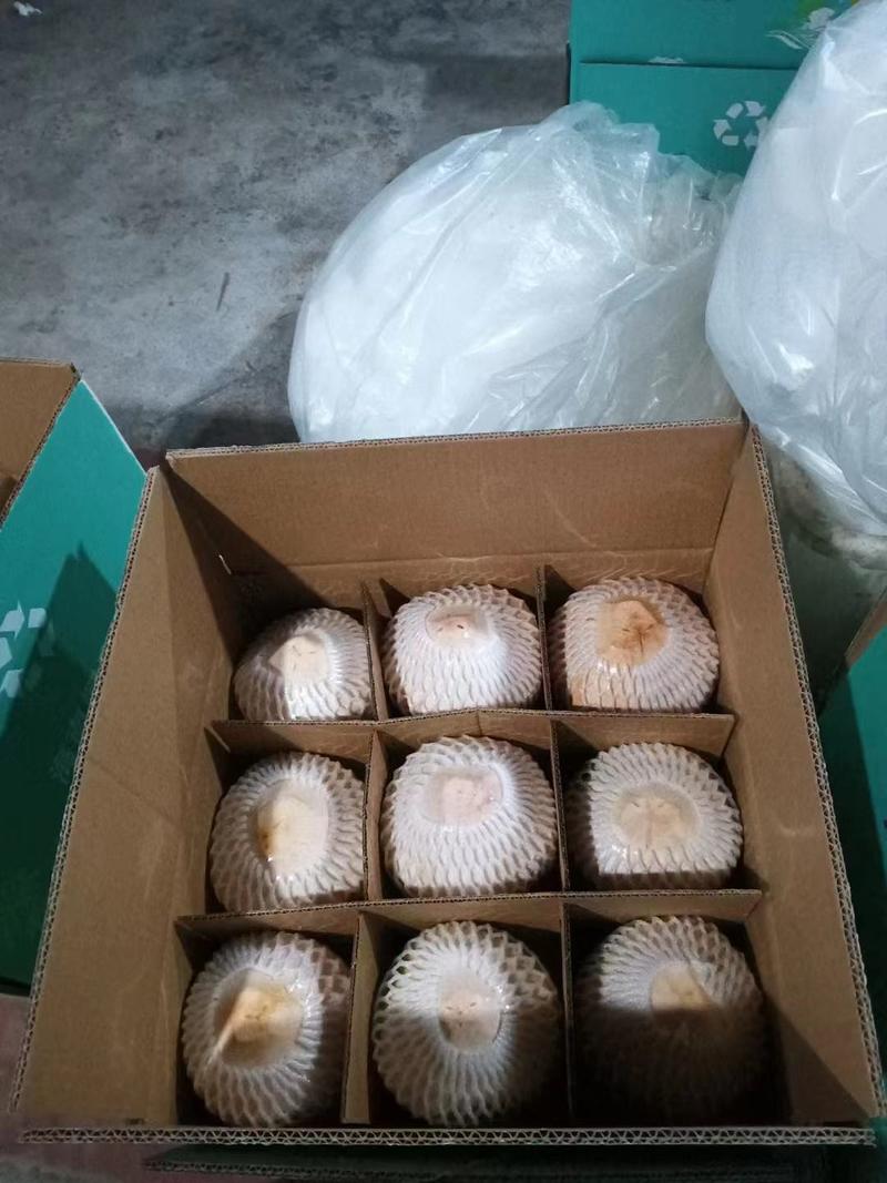 海南精品椰子大量有货，产地直供一手货源，代发全国欢迎联系