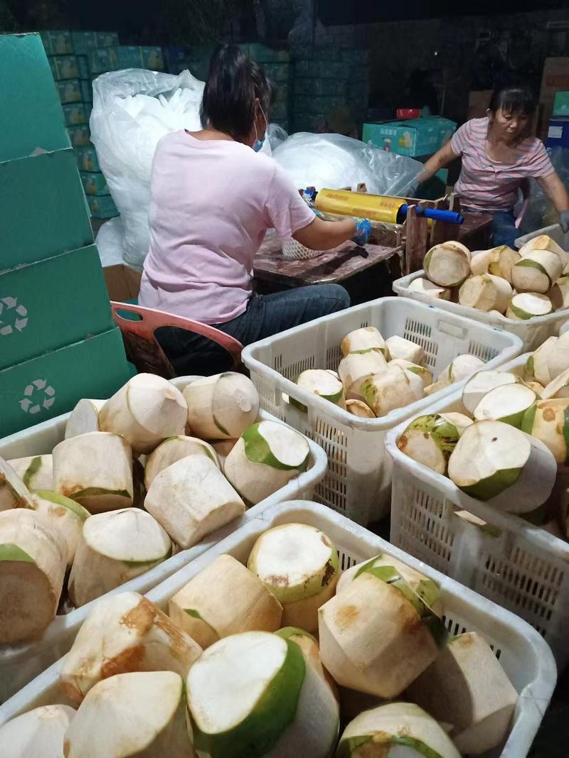 海南精品椰子大量有货，产地直供一手货源，代发全国欢迎联系