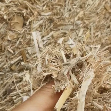 秸秆柔丝