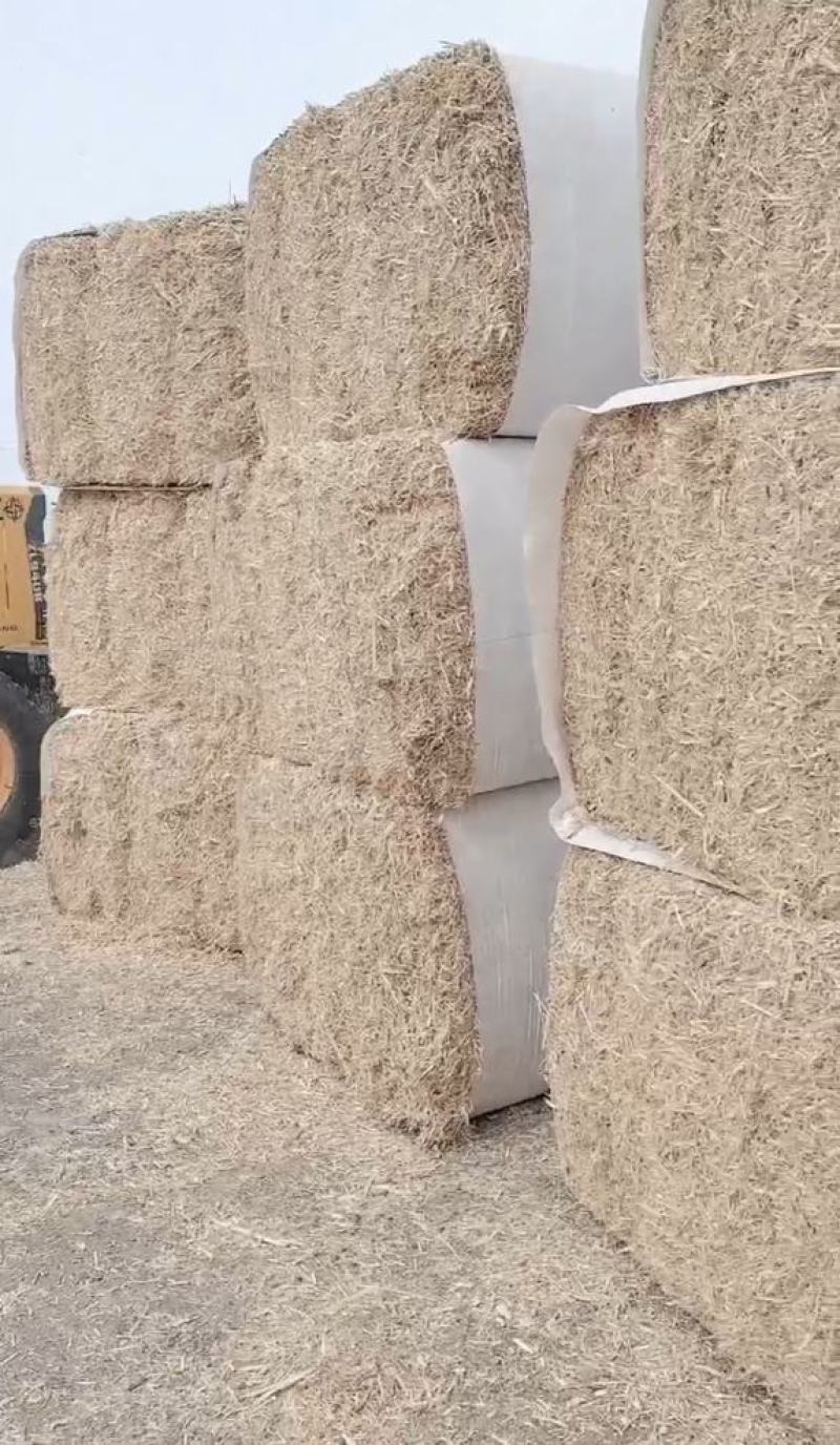 秸秆柔丝