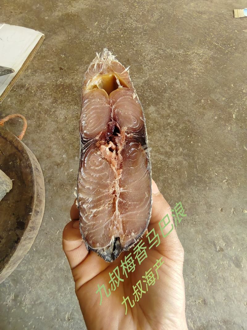 缸腌制13斤多一条梅香马巴浪鱼肉质鲜红咸香净肉咸鱼海鱼