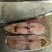 缸腌制13斤多一条梅香马巴浪鱼肉质鲜红咸香净肉咸鱼海鱼