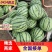 【荐】美都无籽西瓜大量上市了，需要的老板可以提前预定