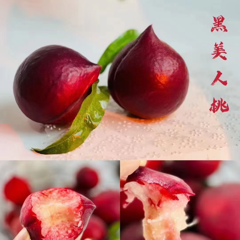 四川攀枝花米易黑美人脆桃水蜜桃