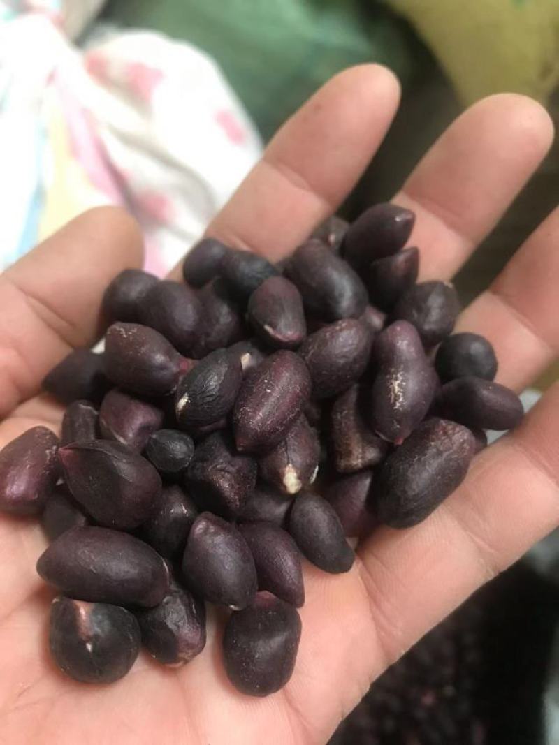 黑花生米