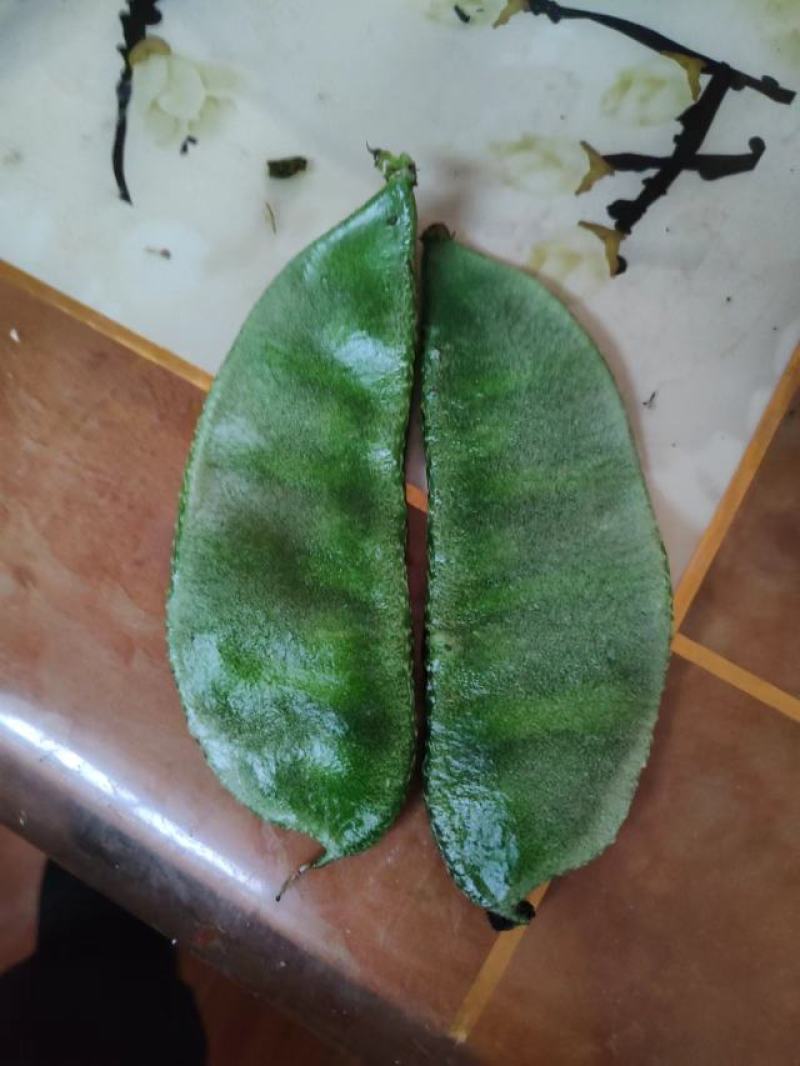 韭苔大量上市