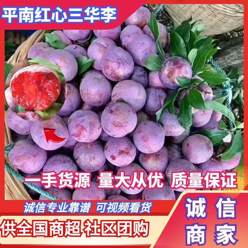 广西红肉李子三华李大量上市中产地直供价格实惠全国发货