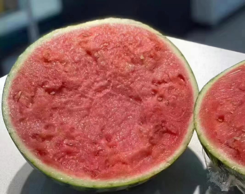 河南8424西瓜，麒麟瓜专业代办团队走货省心便利