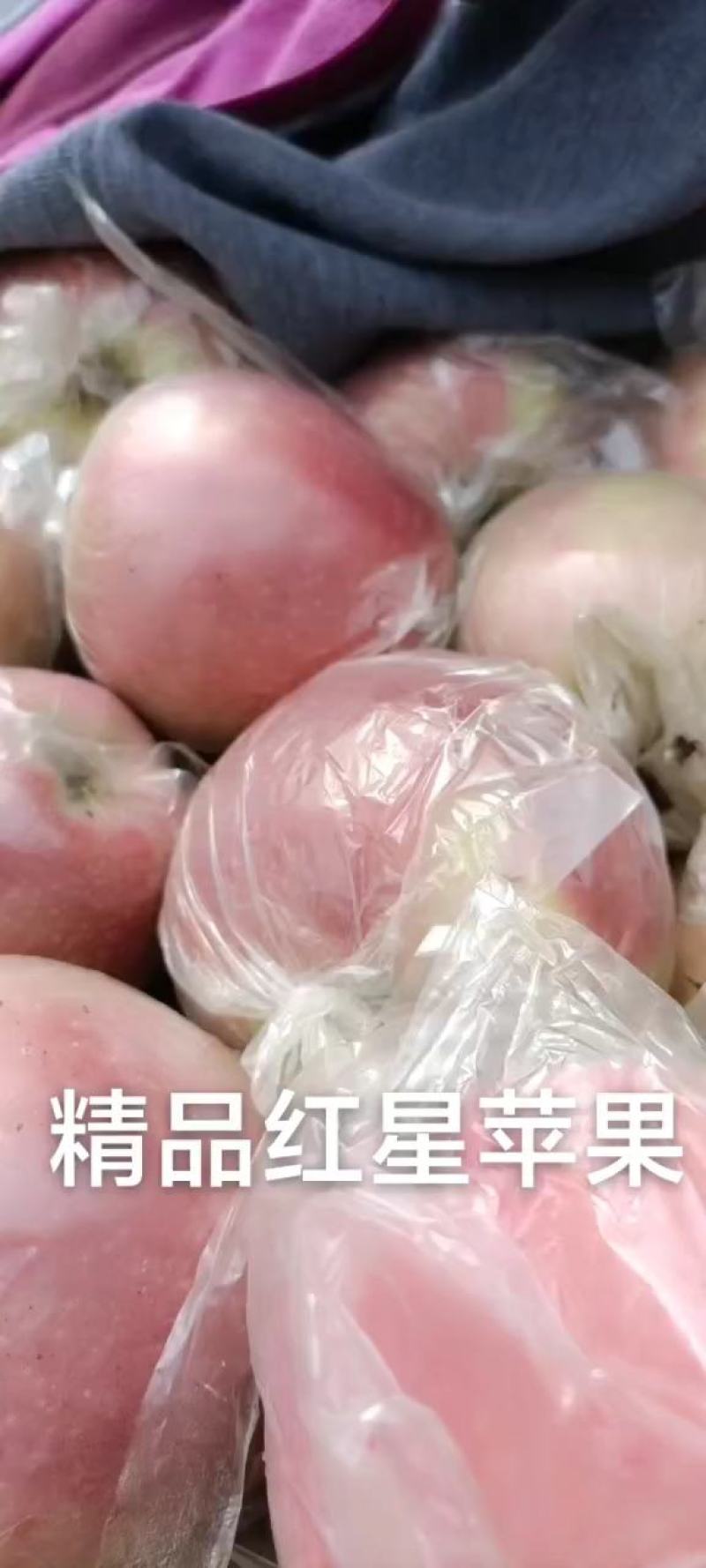 精品红富士膜袋冷库果，质量保证，果面干净鲜亮，别忘了联系