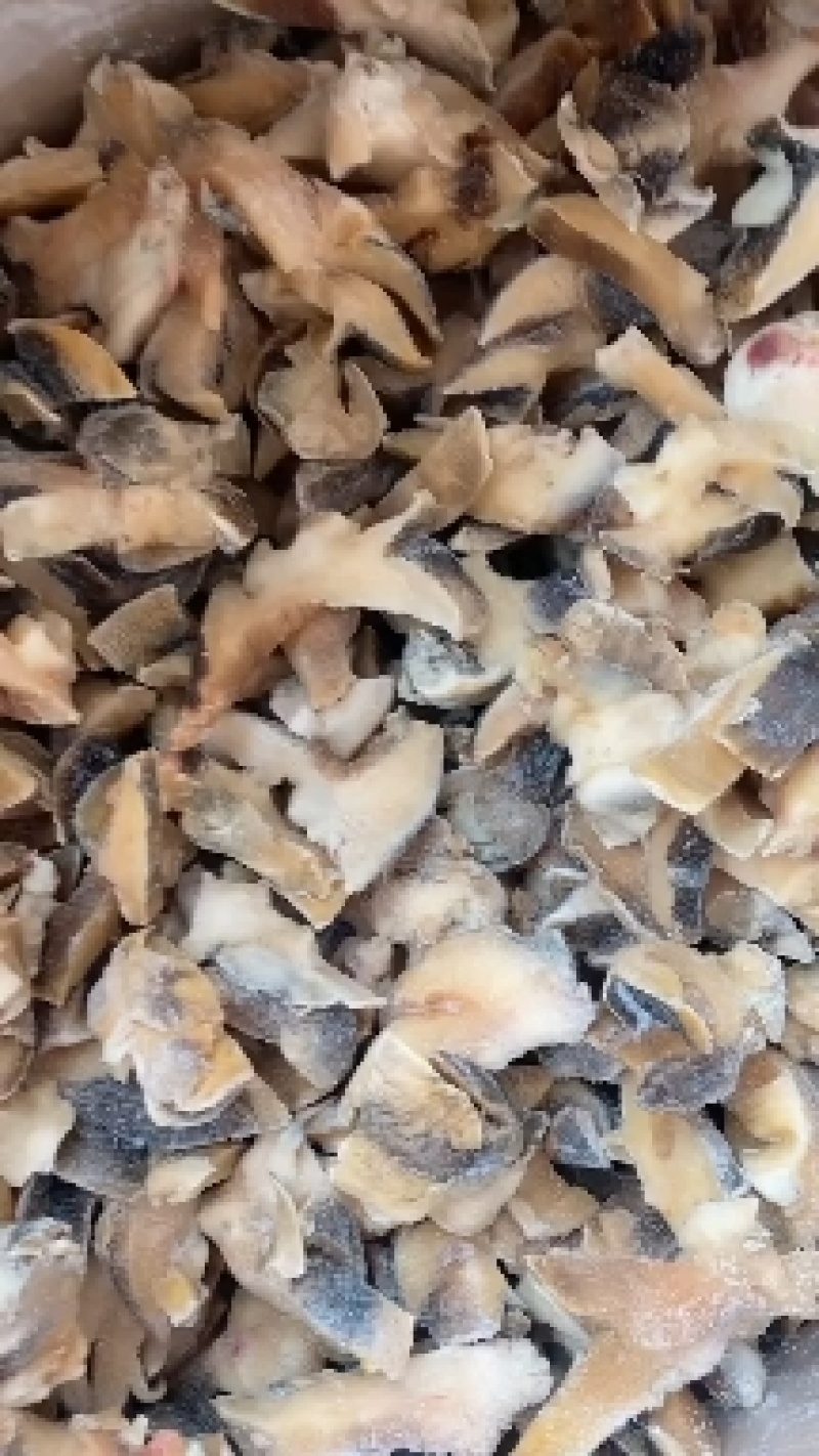 【产地直供】新鲜冷冻大香螺肉海螺头玉螺肉水产猫眼螺肉