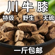 川牛膝中药材正品包邮到家