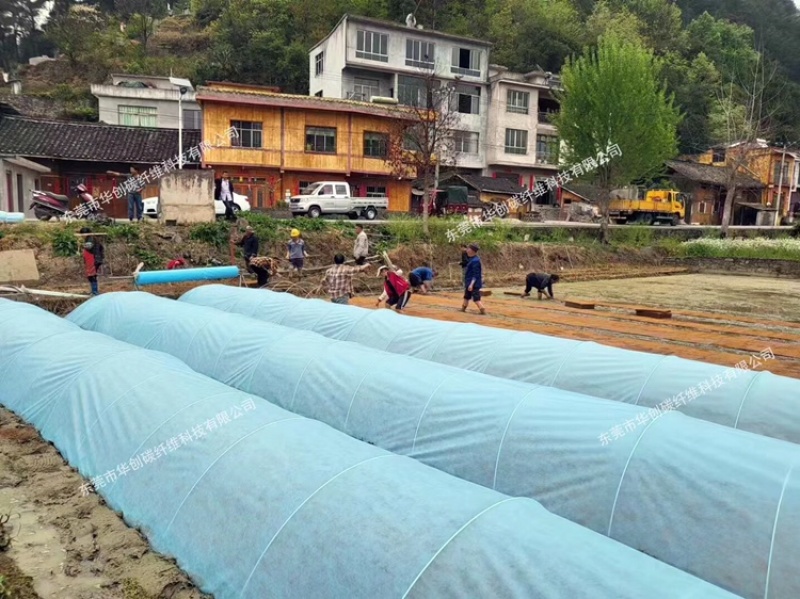 丝瓜拱棚杆吊瓜育苗杆立柱遮阳网立柱豆角拱棚