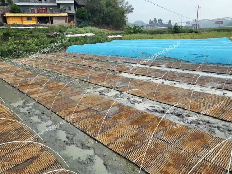 丝瓜拱棚杆吊瓜育苗杆立柱遮阳网立柱豆角拱棚