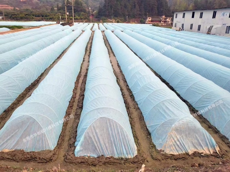 丝瓜拱棚杆吊瓜育苗杆立柱遮阳网立柱豆角拱棚