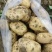 大丰黄心土豆🥔基地一手货源，农户直销全国代发