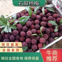 云南杨梅，供应批发市场，茶饮，加工厂，渠道货，电商货，