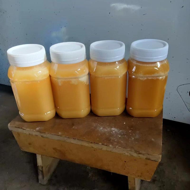 【精品蜂蜜】新疆百花蜜货源充足产地直发价格优惠欢迎咨询