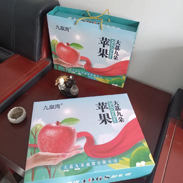 陕西精品苹果-九泉湾®来自海拔1068米的礼物，洛川富士